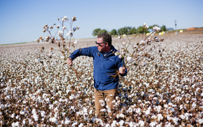 Mastering Cotton Irrigation: A Complete Guide
